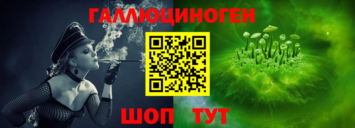Нововоронеж  Псилоцибиновые грибы Magic Shrooms  Галлюциногенные грибы Magic Shrooms  Вход с VPN 